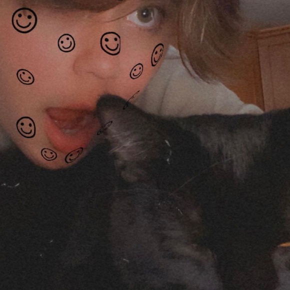 Meet the Posher, Teddy - Picture 1 of 1